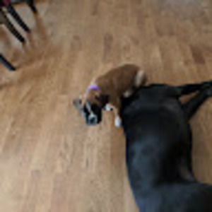 Meet your Posher, Dewayne & rebecca